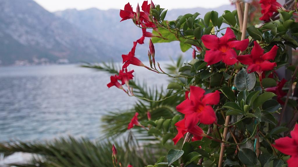 Penthouse Stoliv New Spa-Pool Villa Is Located 5M From The Sea, Exclusive Terrace,Private Jetty Wih Sunbeds, Pebble Beach, Secluded Location Total Area 375M2 At Your Disposal Kotor Exterior foto